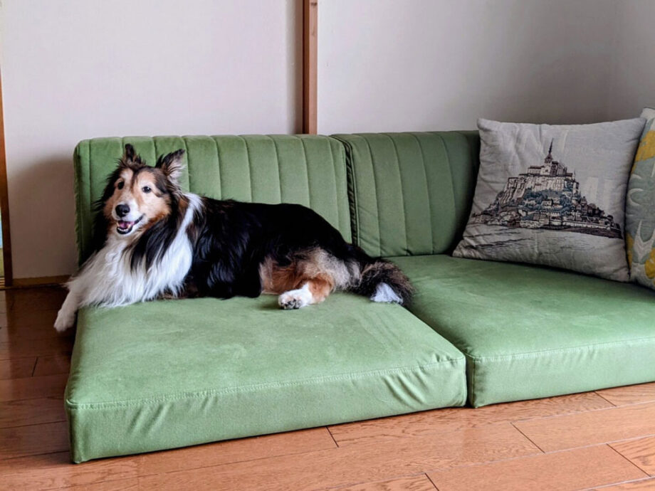 犬との暮らしにおすすめ！ラムース生地でつくるローソファ。